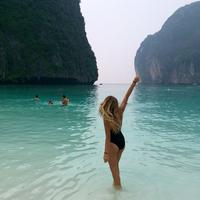 Отзыв от Аврора - DTV виза